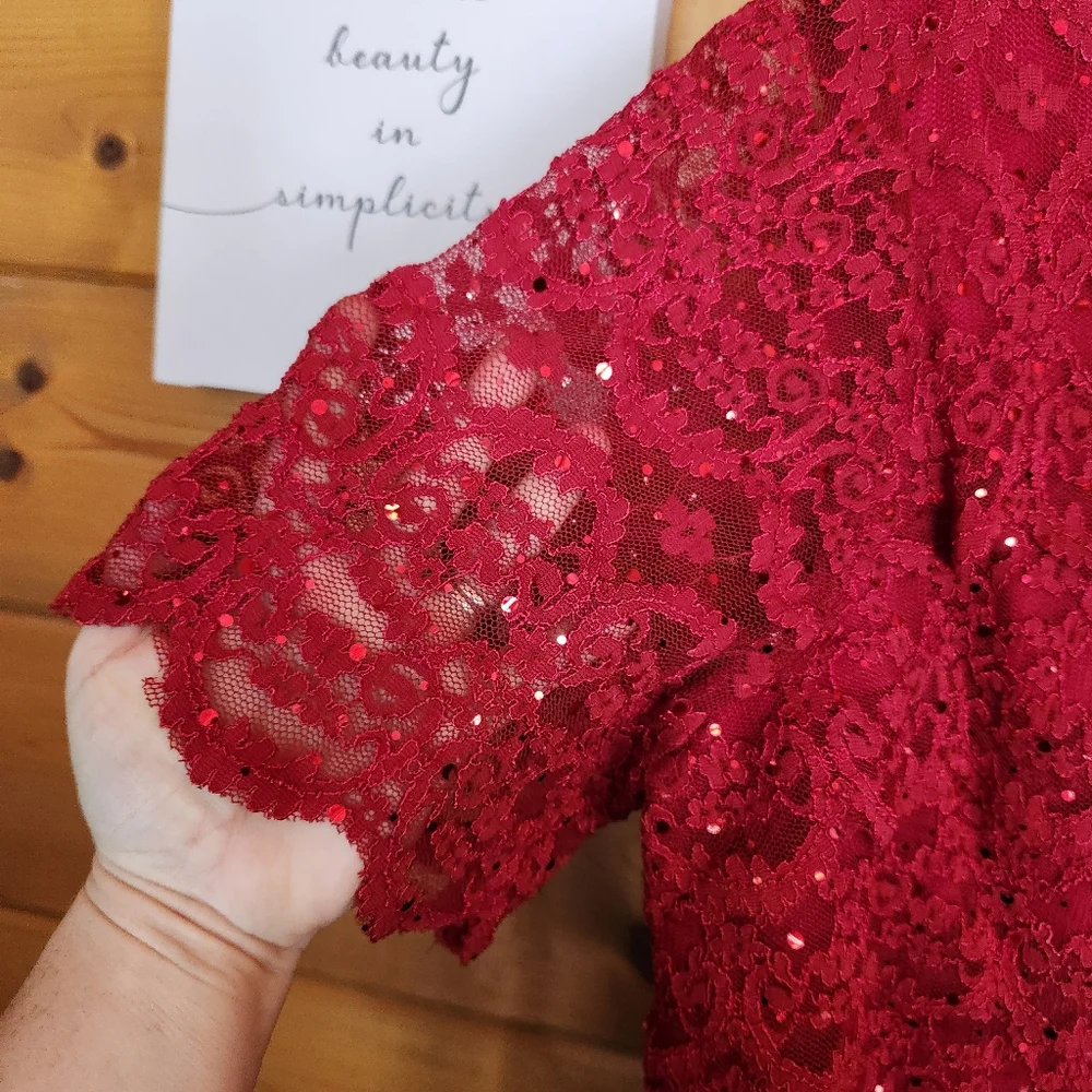 R & M Richards Dress Red‎ Lace & Sequin Overlay Chiffon Sheer Cocktail Petite 14